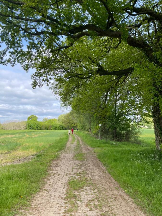 Luxus Lindenhof Apartments -Ferienwohnungen In Friesland An Der Nordsee Am Naturschutzgebiet Urwald Neuenburg  Eksteriør bilde